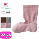 ワコール wacoal らくラクパートナー DZL662 靴下 ソックス 22-24 24-26 サイズ あったか 春 秋 冬 GA 介護 母の日 敬老の日 プ...