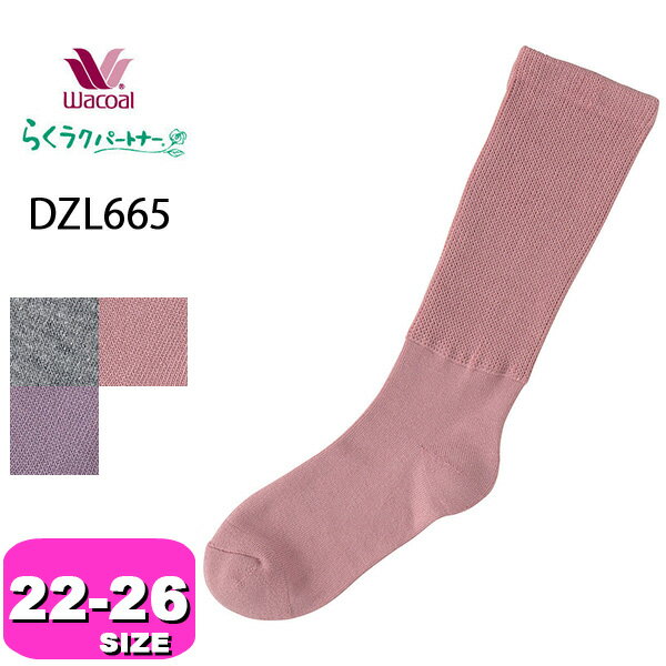 R[ wacoaly[֔zDZL665 炭Np[gi[ C \bNX  22-24cm 24-26cm GA  ̓ hV̓ v[g bsO Mtg