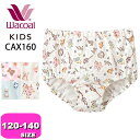 ワコール wacoal キッズ CAX160 ショーツ 女児 スタンダード ノーマル 深ばき 綿100% 120 130 140サイズ ジュニア EMI 2502 メール便発送可