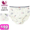 ワコール wacoal キッズ【メール便発送可】CAX175 ショーツ 女児 スタンダード ノーマル 身生地綿100% やわらか ボタニカル柄 150サイズ ジュニア