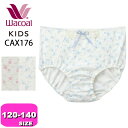 ワコール wacoal キッズ CAX176 ショーツ 女児 ノーマル スタンダード ローズ柄 やわらか 120 130 140サイズ ジュニア 【メール便発送可】