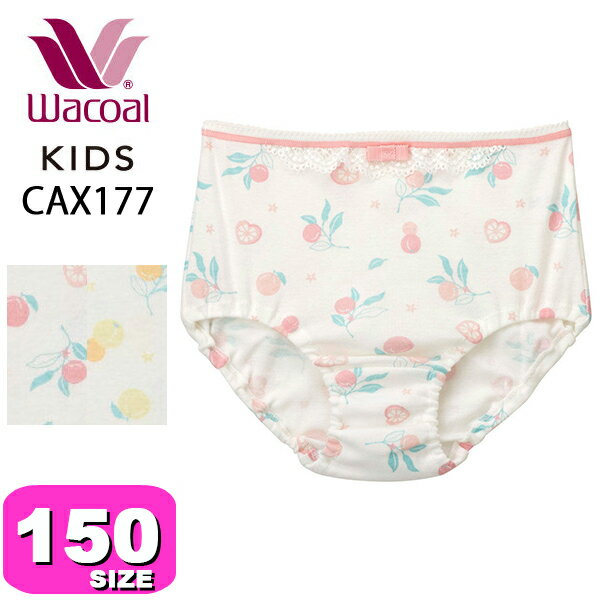 ワコール wacoal キッズ CAX177 ショーツ 女児 スタンダード ノーマル 身生地綿100% やわらか シトラスフルーツ柄 150サイズ 40綿フライス フライス素材 ジュニア メール便発送可