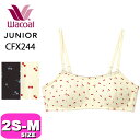 ワコール wacoal ジュニア 【メール便発送可】CFX244 ブラジャー ジュニアブラジャー ノンワイヤー STEP2 かぶりタイプ 綿混 2S S Mサイ...