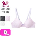 ワコール wacoal ジュニア CFX317 ブラジャー ジュニアブラジャー ワイヤータイプ 3/4カップ STEP3 U字樹脂ワイヤー やわらか かわいい ...