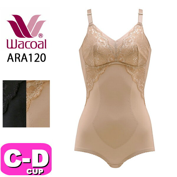 ara120_01cd.jpg ara120_01cd.jpg