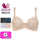 ワコール wacoal BRB224 ブラジャー 4/5カップ エバーシック Ever Chic 脇高 綿混 ぴったり フィット Gカップ WB