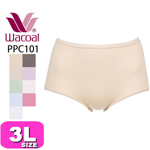 拾 wacoalڥ᡼ȯġPPC301 硼 Ρޥ  ܥǥ ʺ 3L WB