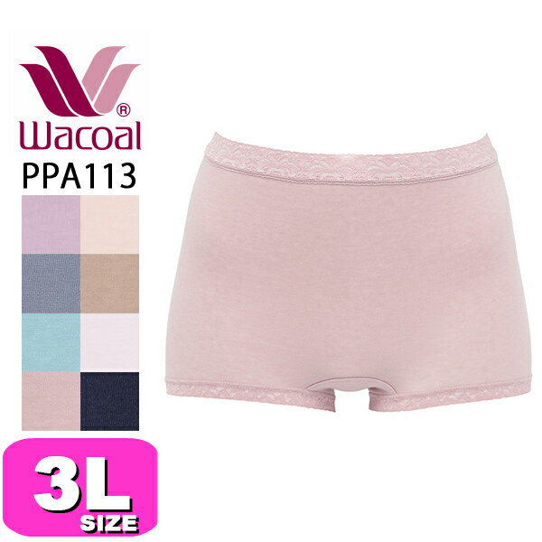 拾 wacoal PPA113 硼 ܡ󥰥 ǥҥå ʺ 3L WB ᡼ȯ