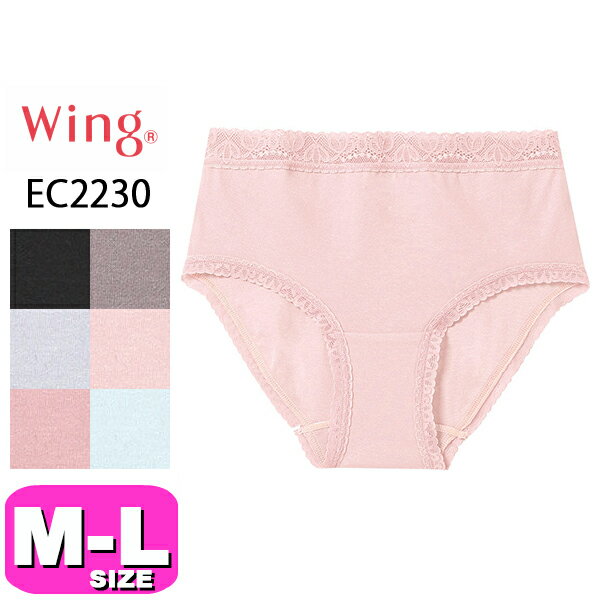拾 wacoal  Wing EC2230 硼 Ϥ߾椢 饤 M L Wing ᡼ȯ