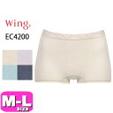 R[ wacoal ECO Wing jbgy[֔zEC4200 V[c ȍ m[} ͂ݏ ӂ MLTCY Wing