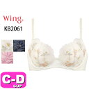 R[ wacoal ECO Wing KB2061 uW[ 3/4Jbv i`Abvu RȒJ CDJbv Wing