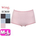 R[ wacoal ECO Wing V[c EC3650 fC[V[c ȍy[֔zm[} X^_[h {[_[ ͂ݏӂ MLTCY Wing EMI 2311