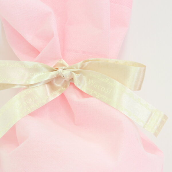 ラッピング 袋 セルフラッピング ギフト Bag プレゼント　包装 母の日 父の日 敬老の日 誕生日 結婚 出産 クリスマス バレンタイン ホワイトデー ギフトバッグ ラッピングバッグ プレゼント用 ギフト用 お祝い