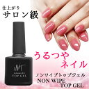 ノンワイプトップジェル 15ml 大容量 ノンワイプ トップジェル トップコート ジェル ジェルネイル ネイル クリアジェル トップ コート ノンワイプトップ ノーワイプ 爪 クリア ノンワイプトップジェル 拭き取り不要