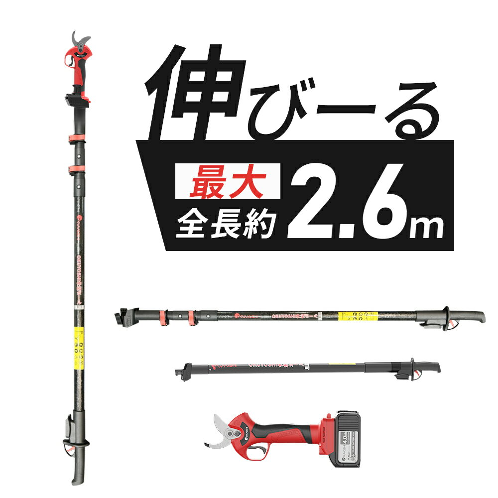 ��2000�ߥ����ݥ�! ���ڥХåƥ꡼�դ��ۤ����� ��ư����Ф��� ���ż� ����ڤ�Х��� ����Х��� �Хåƥ꡼�դ� ���ڤ� ��ư ����Ϥ��� �Υ����� ���ڤ���ư�Ϥ��� ���ڲ̼��� ����������� ���� ������ ���� �Ф��� �ڤ� �˽�����