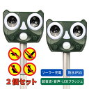 \500円クーポン! マラソン限定/あす楽 猫よけ 超音波 強力 ソーラー 鳥よけ センサー ねこよけ とりよけ グッズ 猫避け 猫除け 鳥害 鳥 害獣 防犯 動物撃退器 害獣駆除 充電 害獣対策 害獣撃退 車両盗難防止 不審者 赤外線 ライト センサー 防水