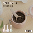 珪藻土 スプーン ティーキャディースプーン ティースプーン 乾燥剤 キッチン雑貨 乾燥 調味料 計量 塩 茶葉 茶しゃく 速乾 吸湿 吸水小さじ 匙 茶杓 台所