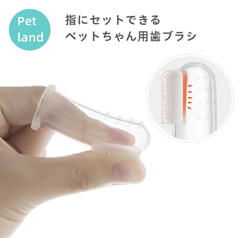 歯 歯石 歯肉炎 歯周病 腫れ 歯茎 虫歯 口臭 口腔ケア キシリトール ガム デンタルケア 歯磨き粉 歯磨..