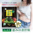 \レビューでプレゼント★/モロヘイヤ サプリ スッキリ恵みの青汁粒 100粒入り青汁粒 乳酸菌 健康 美容 サプリ サプリメント 野菜不足 青汁 無添加 モロヘ...