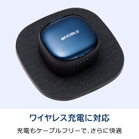 FALCON2(10%OFFクーポン付き)|ワイヤレスイヤホン/Bluetooth5.2/IPX7防水規格/長時間音楽再生/ワイヤレス充電対応/ヒアスルー機能/QualcommaptXAdaptive/cVc8.0ノイズキャンセリング/マイク内蔵