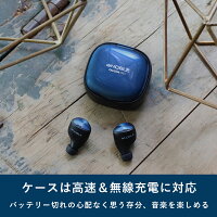 NobleAudioFalconPRO