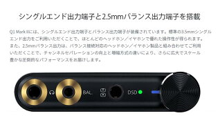 FiiOQ1MarkII【正規輸入品】バランス出力対応ハイレゾ対応ポータブルオーディオヘッドホンアンプPHPA