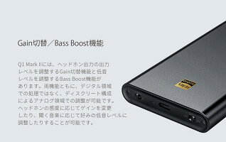 FiiOQ1MarkII【正規輸入品】バランス出力対応ハイレゾ対応ポータブルオーディオヘッドホンアンプPHPA