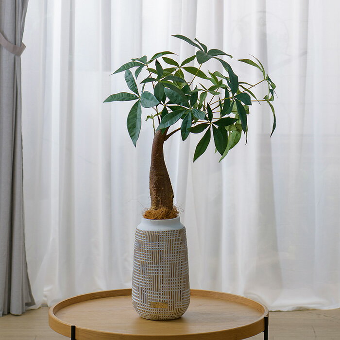 ミニパキラ アーティフィシャルグリーン アートグリーン インテリアグリーン 観葉植物 造花 インテリア ギフト プレゼント 誕生日 開業祝い 開院祝い 開店祝い 新築祝い 引越祝い 新築祝い 移転祝い 結婚祝い 就任祝い 送料無料 あす楽のサムネイル