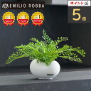 【セール中ポイント5倍】観葉植物 アジアンタム 造花 インテリア おしゃれ 小さめ ミニサイズ コンパクト アーティフィシャルグリーン アーティフィシャルフラワ...