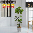 【ポイント5倍】観葉植物 ウンベラータ 造花 インテリア おしゃれ 大型 アーティフィシャルグリーン アーティフィシャルフラワー 新生活 ギフト プレゼント 贈...