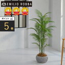 【ポイント5倍】観葉植物 ヤシの木 パーム 造花 インテリア おしゃれ 大型 アーティフィシャルグリーン インテリア アーティフィシャルフラワー 新生活 ギフト...