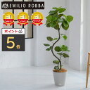 【セール中ポイント5倍】観葉植物 ウンベラータ 造花 インテリア おしゃれ 大型 アーティフィシャルグリーン アーティフィシャルフラワー 新生活 ギフト プレゼ...