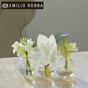 造花 ユーチャリス3W24 アレンジメント インテリア アーティフィシャルフラワー アレンジ 造花 仏花 仏壇 お供え花 小さめ ミニ 白 ホワイト ギフト プレゼント 贈り物 退職祝い 誕生日 新築祝い 引越し祝い 結婚祝い 御祝 御供 コンパクト お彼岸 お盆 お悔やみ