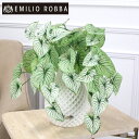 観葉植物 カラジュームL25-b 造花 インテリア おしゃれ 小さめ ミニサイズ コンパクト アーティフィシャルグリーン アーティフィシャルフラワー グリーン ...