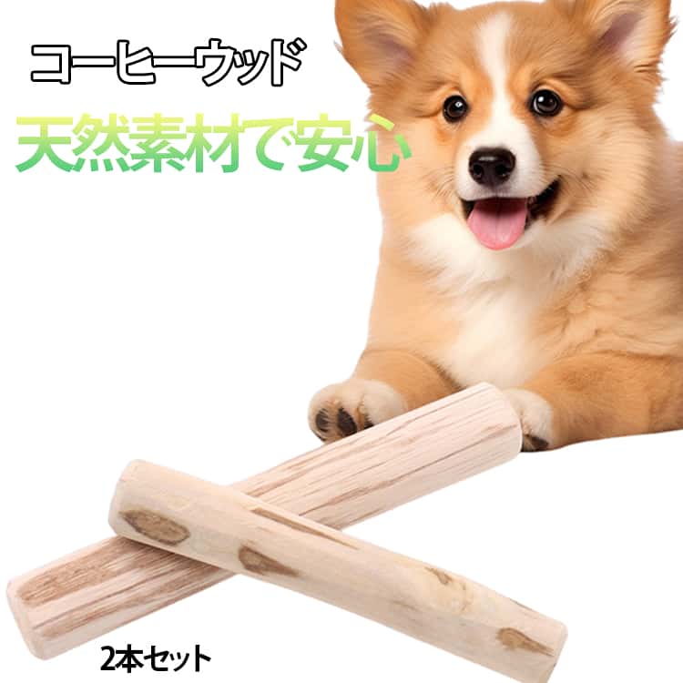 コーヒーウッド 2本セット 犬用 噛む おもちゃ コーヒーの木 無添加 天然木 カフェインフリー 犬のおもちゃ 歯磨き デンタルケア ストレスケア 歯のクリーニング 犬用おもちゃ 木製 木の棒 玩具 口臭対策 小型犬 送料無料