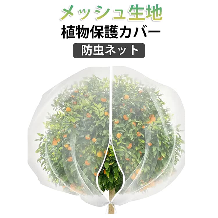 商品画像1
