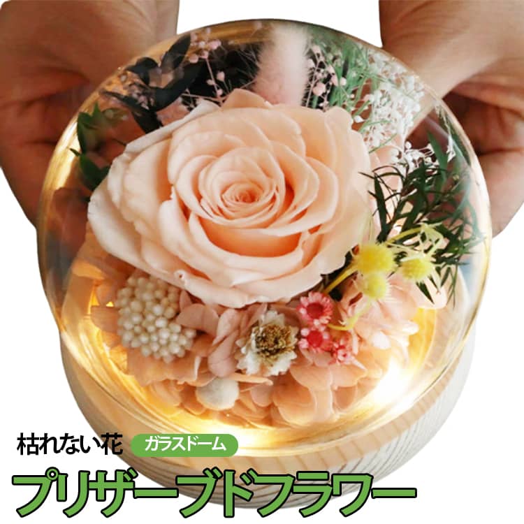 大切な想いを長く届ける、プリザーブドフラワーのガラスドームギフト。本物のバラを特殊加工し、美しい姿をそのままに長期間楽しめる“枯れない花”です。透明なガラスドームに包まれ、ほこりや湿気から守りつつ、上品で華やかな存在感を演出。LEDライト付きでやさしく照らし、お部屋に温もりある雰囲気をプラスします。水やりなどのお手入れ不要で、手間いらずなのも嬉しいポイント。母の日はもちろん、誕生日や記念日、敬老の日などの贈り物に最適です。60代・70代・80代のお母様や大切な方への感謝の気持ちを伝える、特別感あふれるフラワーギフトです。 サイズ F サイズについての説明 F　11*12cm 素材 ガラス、その他 色 NO.01 NO.02 NO.03 NO.04 NO.05 NO.06 備考 ●サイズ詳細等の測り方はスタッフ間で統一、徹底はしておりますが、実寸は商品によって若干の誤差(1cm～3cm )がある場合がございますので、予めご了承ください。 ●製造ロットにより、細部形状の違いや、同色でも色味に多少の誤差が生じます。 ●パッケージは改良のため予告なく仕様を変更する場合があります。 ▼商品の色は、撮影時の光や、お客様のモニターの色具合などにより、実際の商品と異なる場合がございます。あらかじめ、ご了承ください。 ▼生地の特性上、やや匂いが強く感じられるものもございます。数日のご使用や陰干しなどで気になる匂いはほとんど感じられなくなります。 ▼同じ商品でも生産時期により形やサイズ、カラーに多少の誤差が生じる場合もございます。 ▼他店舗でも在庫を共有して販売をしている為、受注後欠品となる場合もございます。予め、ご了承お願い申し上げます。 ▼出荷前に全て検品を行っておりますが、万が一商品に不具合があった場合は、お問い合わせフォームまたはメールよりご連絡頂けます様お願い申し上げます。速やかに対応致しますのでご安心ください。