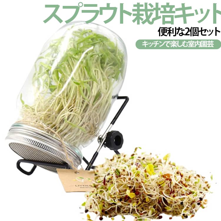 2点セット 発芽ガラス*1+スタンド*1 スプラウト栽培キット 水耕栽培 発芽栽培容器 種子発芽成長セット メイソンジャー ガラス瓶 スタンド付き キッチン テンレススタンド フィルター蓋 ブロッコリースプラウト 野菜 豆苗 斜め置き 業務用 排水しやすい 送料無料