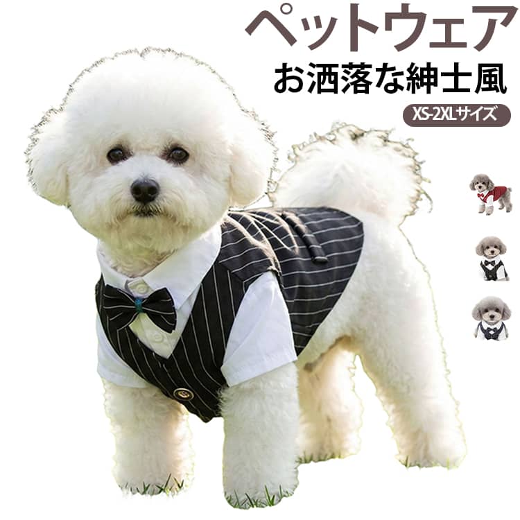ペット服 犬猫兼用 スクール風 英国風 紳士服 スーツ 仮装 礼服 シャツ ベスト 蝶ネクタイ付き 前開き ドッグウェア ペアルック トイプードル おしゃれ コスチューム イベント ハロウィン 送料無料