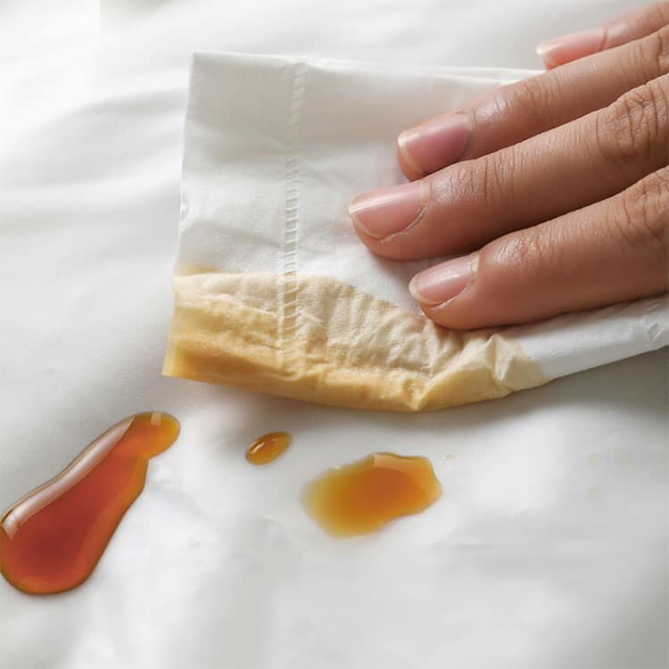 ���塼�������� ���塼���Хå� ���塼���� ������ ���� ������ ��ĥ ι�� �����ȥɥ� ���ݡ��� �ɿ� �ɿ� �ɽ� ���� �˽����� ������OK ���ˡ������Хå� ������������ �ع� ���������� ����̵��