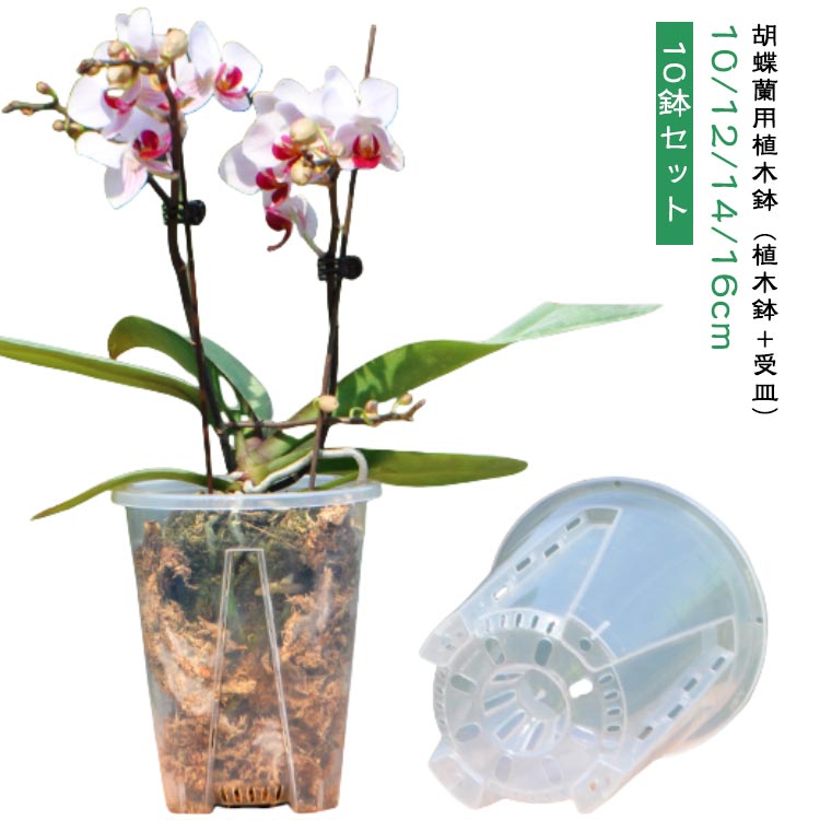 Gardening - プラスチック 植木鉢 プランター 洋蘭鉢 鉢 透明 穴付き 植木鉢 育苗ポット 穴付き 植え替え 10鉢セット 胡蝶蘭鉢 オーキッドポット 屋内 屋外 セット 観葉植物 多肉植物 10鉢セット 胡蝶蘭の植え替え 園芸用品 ガーデニング 穴あき プランター