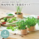 栽培セット 栽培キット WAPPA 和っ葉栽培セット シソ 紫蘇 大葉 三つ葉 ミツバ コネギ ねぎ 葱 ミズナ 水菜 野菜 薬味 室内栽培 室内園芸 野菜栽培 キッチン菜園 かわいい おしゃれ ギフト プレゼント GD-956 聖新陶芸 正月 新年