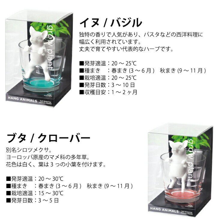 おしゃれな栽培キット 水耕栽培キット ハーブ栽培キットなどのおすすめランキング わたしと 暮らし