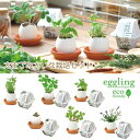 栽培セット 栽培キット エッグリングエコフレンドリー ミント サボテン パセリ イチゴ ラベンダー 菜園キット 菜園セット 室内栽培 野菜 キッチン菜園 インテ...