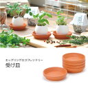 テラコッタ製受け皿1枚　エッグリング用受け皿　単品販売【聖新陶芸 栽培セット 栽培キット 室内栽培 室内園芸 野菜 キッチン菜園 キッチンガーデン ハーブ 自給自足　】