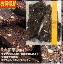 楽天ランキング1位 獲得 ビスコッティお買得品 大容量 クッキー 焼き菓子 ビーガン オーガニック マクロビ ギルトフリー グルテンフリー 低糖質 糖質制限 糖尿病 フードロス 食品ロス お返し スイーツ お供え お祝い 入学 ご挨拶 母の日 就職 父の日