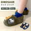 ֡ڤʥݥȯۥå ε å 롼ॷ塼 롼ॹå   ե դդ ⤳⤳ İ ߤդ  ä ɴ Ȥ ⤭䤹 ˤλ ʥ DINOSAUR   ͥӡ 17cm 20cm 23cm SH-42236פ򸫤