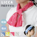 【LINEお友だち登録で300円OFF】 手ぬぐいタオル てぬぐいタオル 33×100cm コットン 綿 日本製 タオル アウトドア スポーツ 総柄 カラフル 和柄 子供 女の子 男の子 かわいい ギフト 薄手 軽量 吸水 calmland カームランド