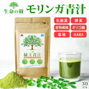 話題のスーパーフードを贅沢に使用 乳酸菌 食物繊維 オリゴ糖 腸活 青汁 モリンガ 国産 ダイエット コラーゲン サプリメント サプリ 美容 酵素 ビタミンC ビタミンD 葉酸 カルシウム GABA BCAA EAA プロテイン スムージー 健康食品 緑王青汁 LAD WEATHER ラドウェザー