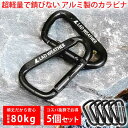 軽量で錆びないアルミ製 コスパ抜群の5個セット 耐荷重80kgで重い物も安心 カラビナ キーホルダー キャンプ アウトドア 登山 防災 キーリング キャンプ用品 登山用品 防災グッズ 釣り道具 小型 キーチェーン dリング おしゃれ 旅行 便利グッズ LAD WEATHER ラドウェザー
